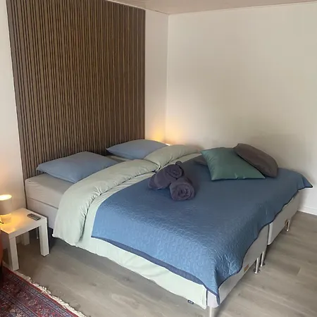 Adelgadehuset 아파트호텔 보겐세